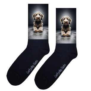 Print 1398 Labradoodle af